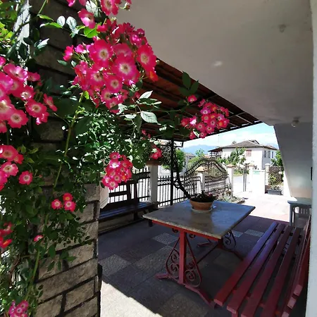 Olympia Project / χώρος διαμονής στην αλμωπία * Exaplatanos