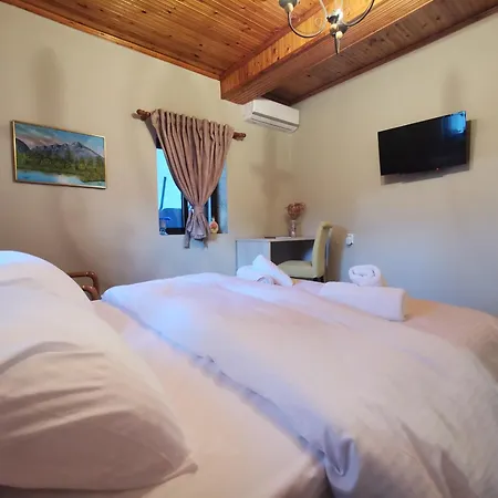 Apartment Olympia Project / χώρος διαμονής στην αλμωπία